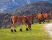 Recorrido de Otzaurte a Ultzama. Fotografía Luis Maria Núñez